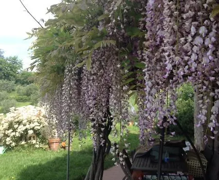 Hétvégi ház Casa Vacanze 