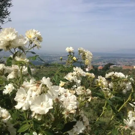 Casa Vacanze 